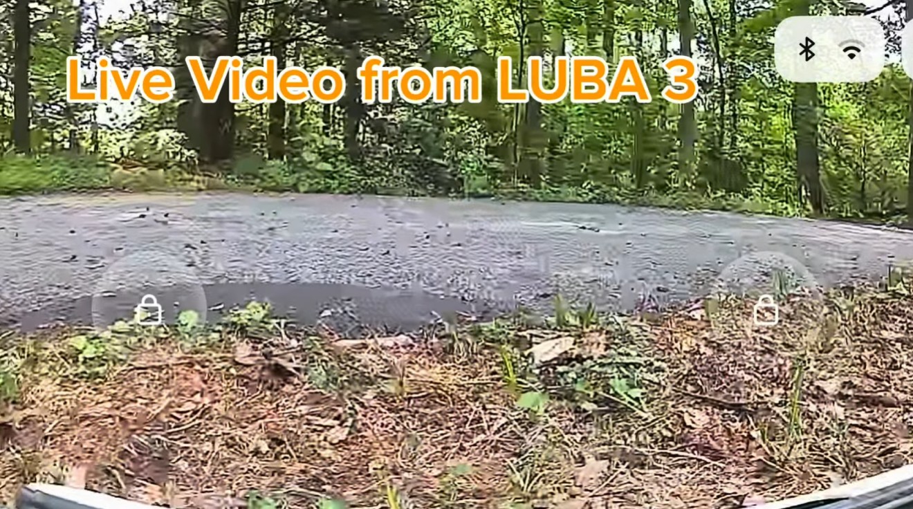 Live video streamed from a Mammotion robot mower's onboard camera to a phone