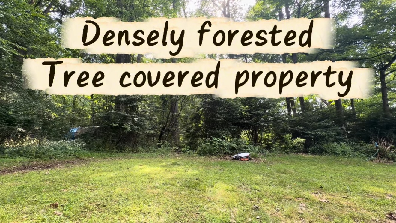 A robot mower cutting a lawn surrounded by dense forest and heavy tree canopy