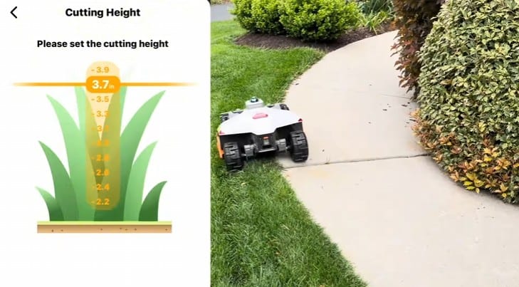 Setting a robot mower's cutting height in the app while the mower follows a walkway edge