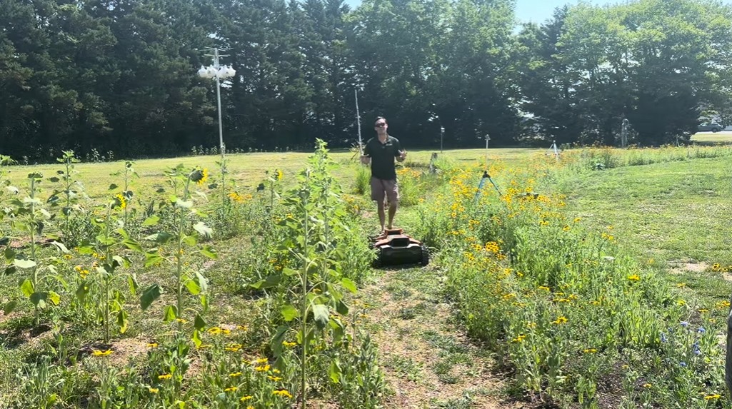 A robot mower cutting a clean mowed path through a tall wildflower meadow