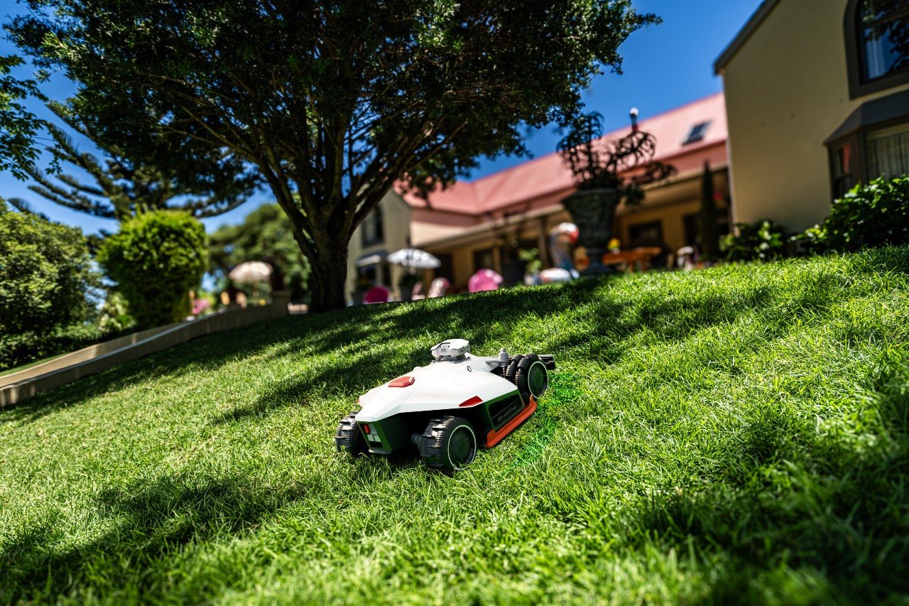 A Mammotion LUBA AWD mowing a sloped lawn under a large tree beside a house