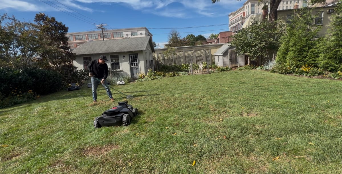 Raking a lawn with a robot mower waiting