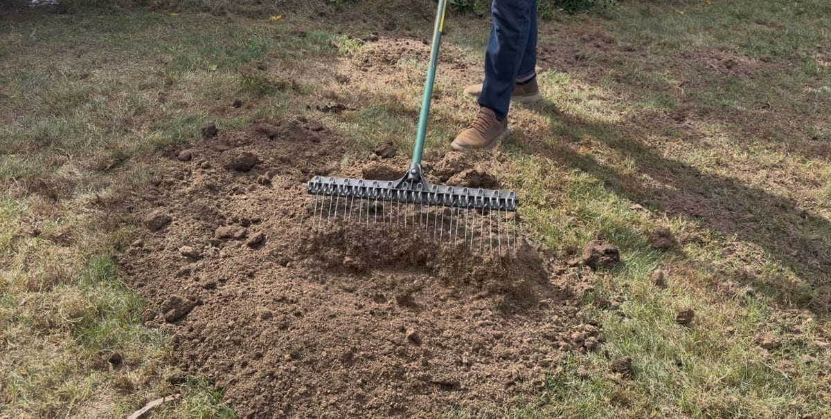 A rake spreading compost over a seeded patch