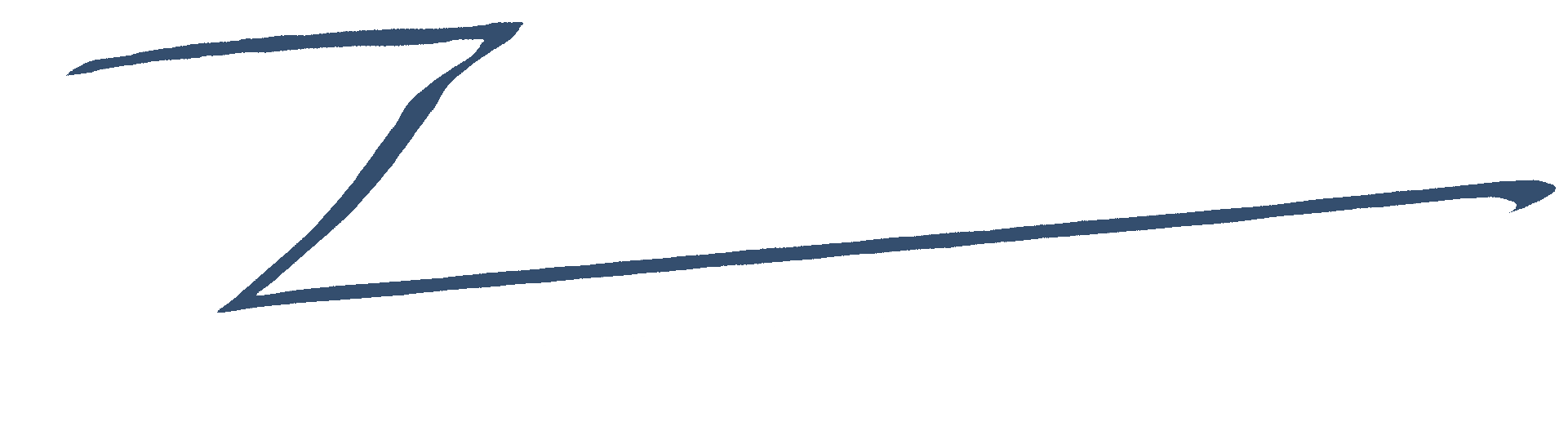 Zippy Snow